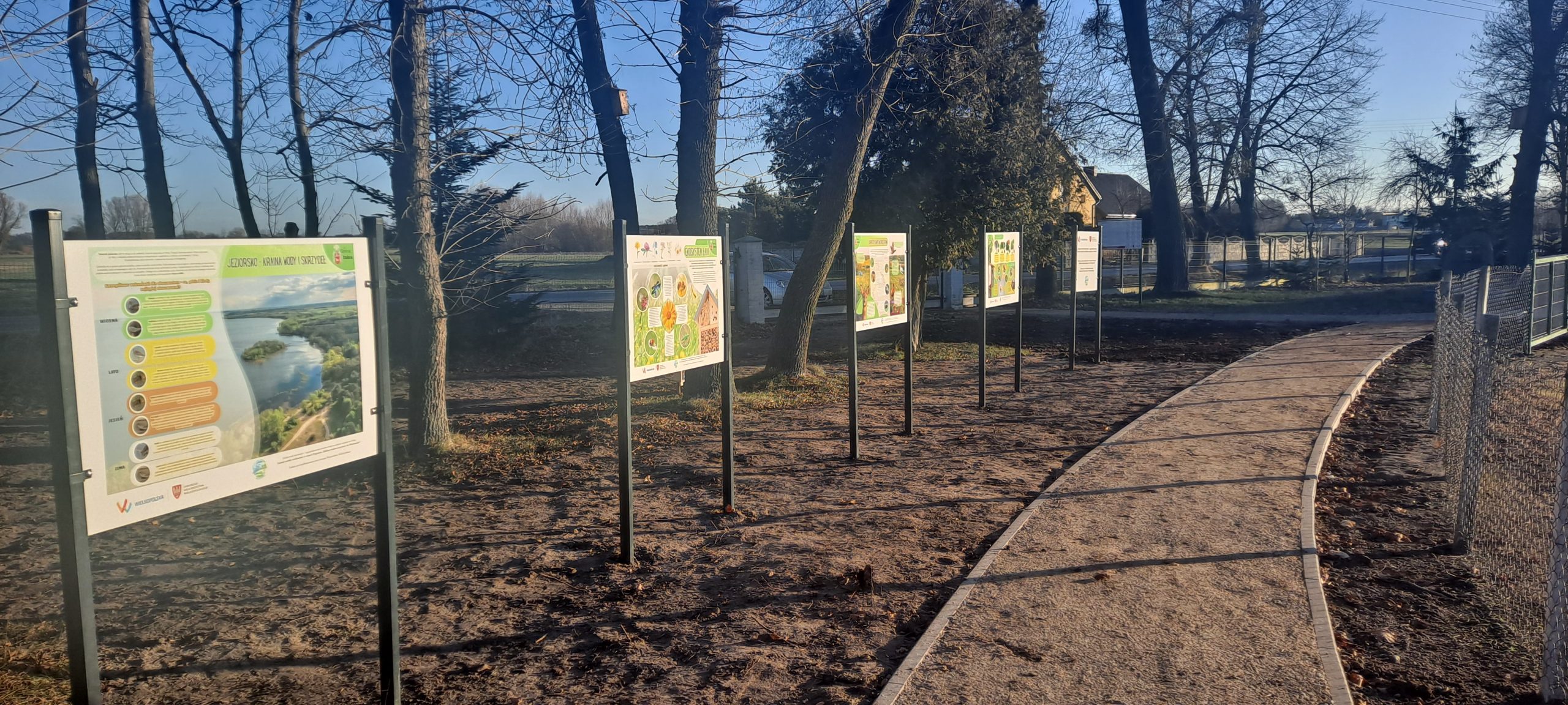 Wizualizacja zielonego rynku