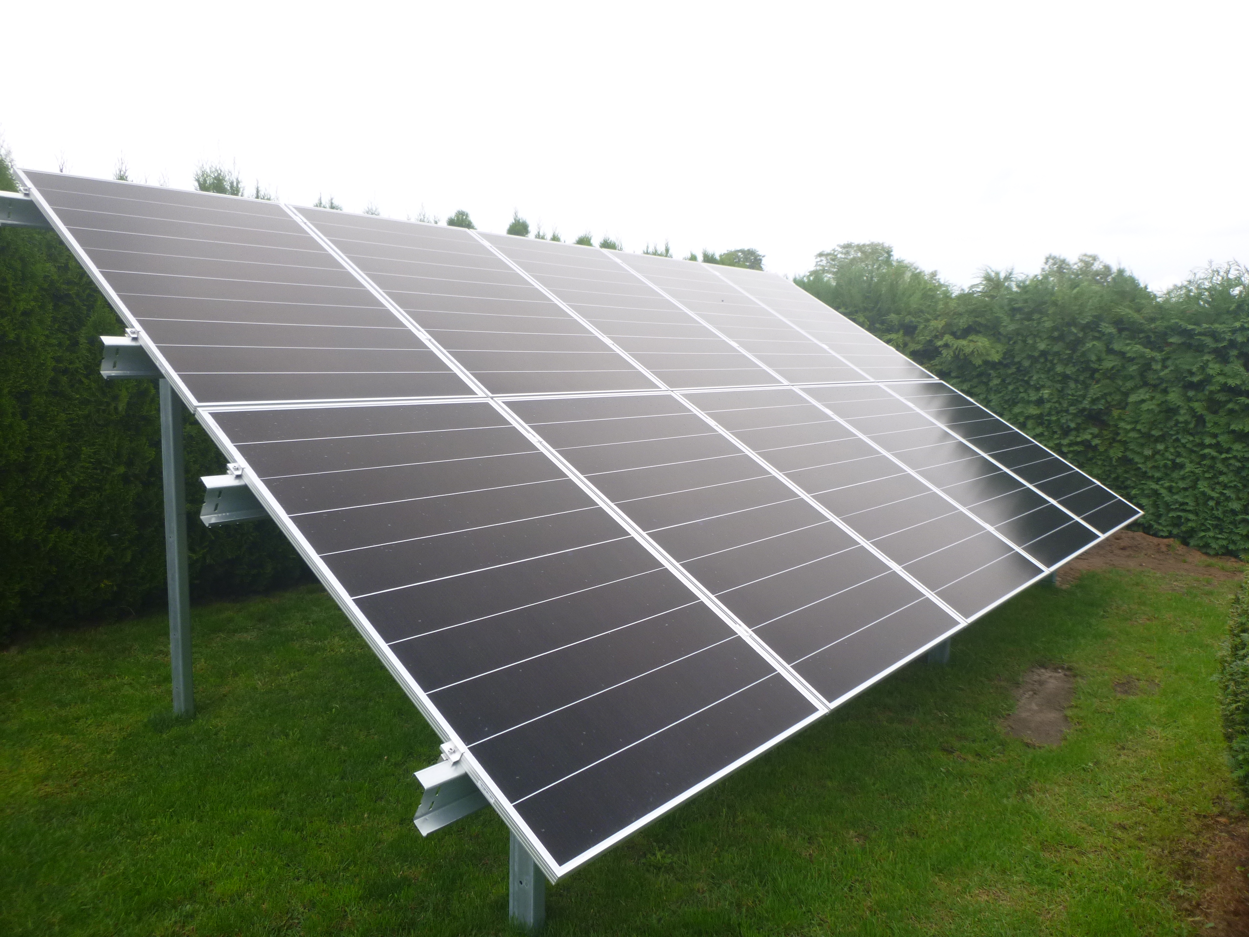 Wizualizacja zielonego rynku